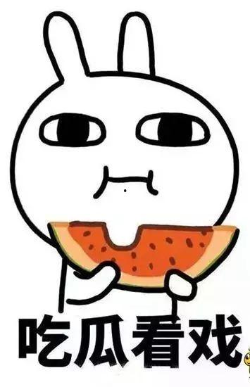 会长吃瓜爆料准吗,揭秘娱乐圈真相，准确度令人惊叹